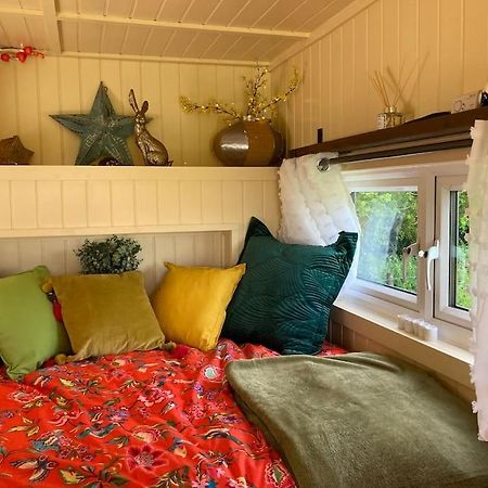 Neddys Rest Luxury Horsebox Stay Battle Exteriér fotografie