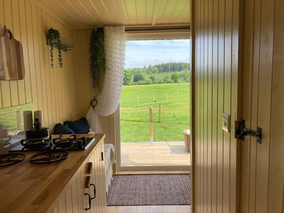 Neddys Rest Luxury Horsebox Stay Battle Exteriér fotografie
